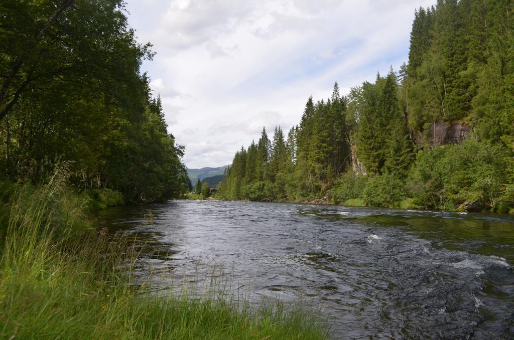 Døskelandslia Camping Sygna Bagian luar foto